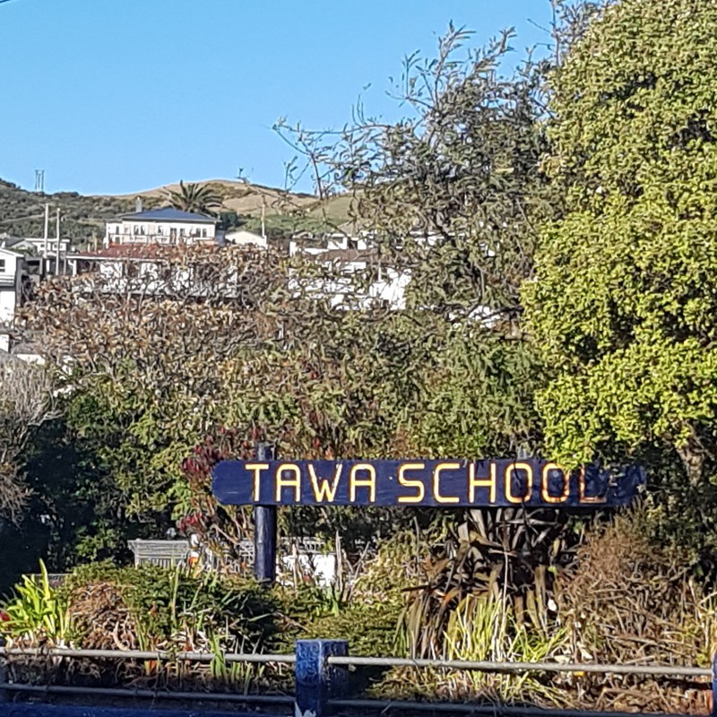 image of tawa school (credit C. Stevens)